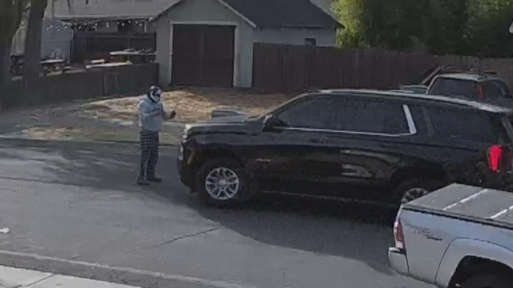 ICE responds after Woodland police dispute initial account of collision with pedestrian — CBS Bay Area (KPIX), Wesley Chapel Health news