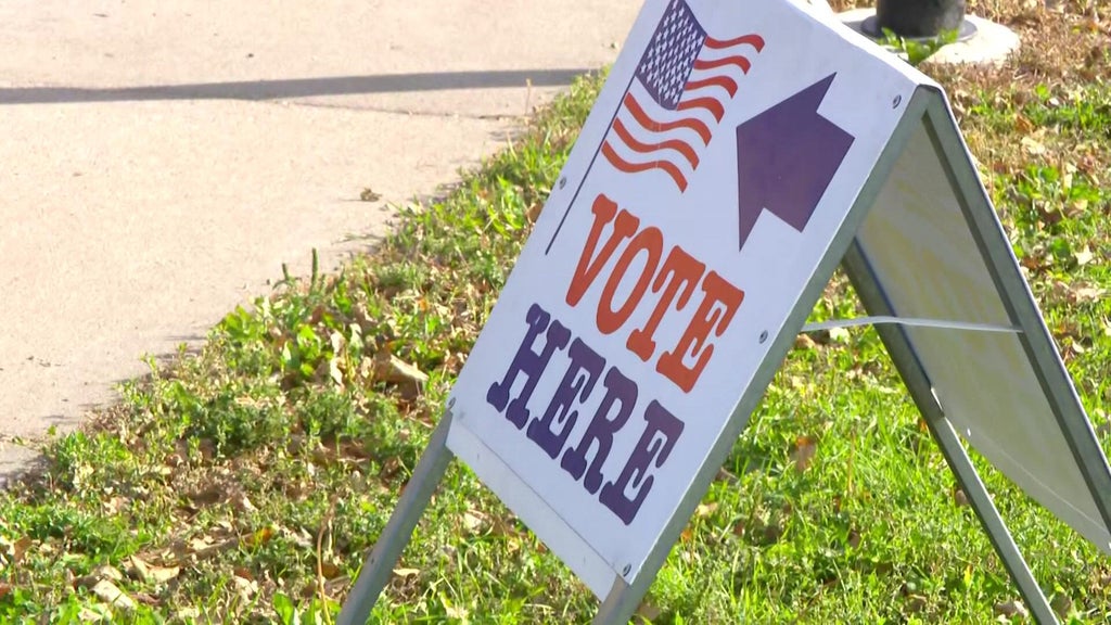 Two weeks before election day, here's what Minnesota voters say are their top issues — WCCO — Gopher, Wesley Chapel Sports news