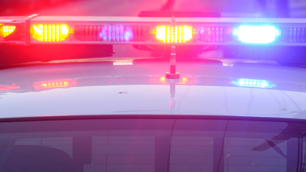 Broward man accused of trying to kidnap 13-year-old from Miramar gas station, police say — CBS Miami, Wesley Chapel Business news