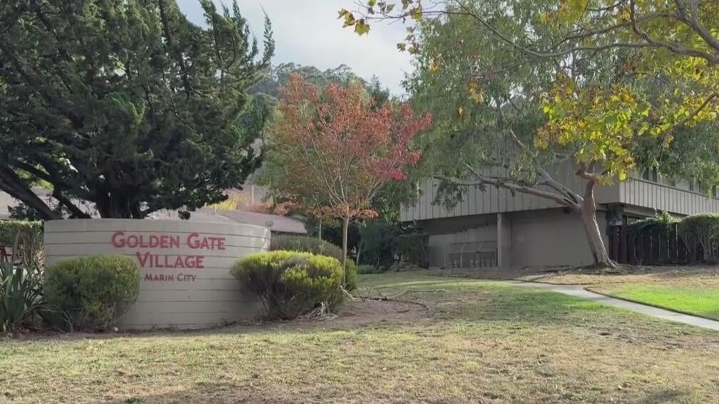 Marin City families receive $725,000 in rent relief as their aging apartment complex is renovated — CBS Bay Area (KPIX), Wesley Chapel Business news