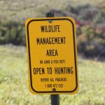 Pointers for Public Land Hunting — NewsDakota, Wesley Chapel Sports news