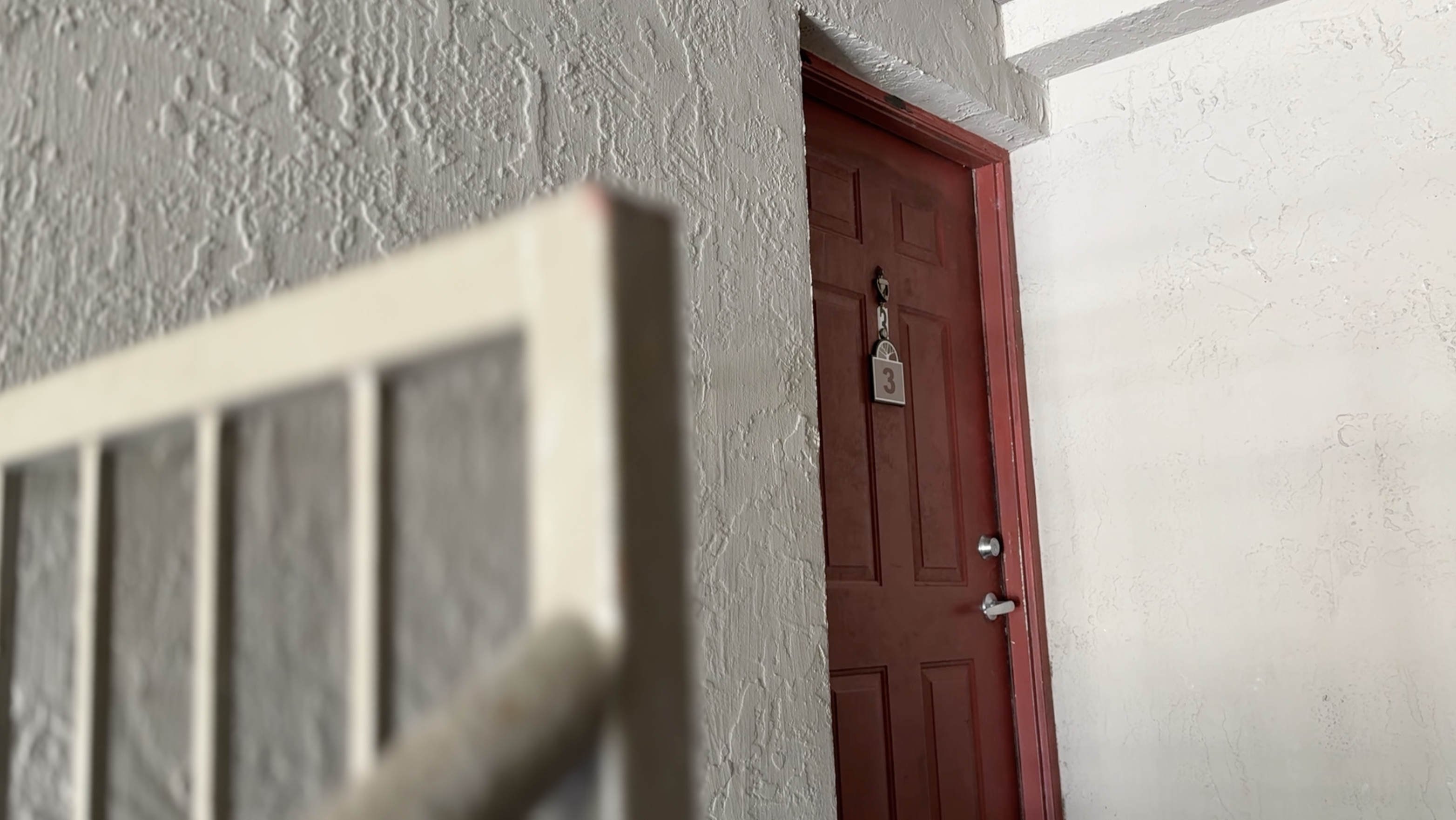 Pasco County mom of 5 takes in 3 children left without food or power whose mother faces neglect charges — WFTS ABC Action News Tampa, Wesley Chapel Schools news