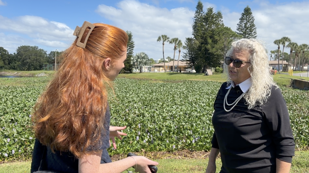 Residents fear future flooding as Largo canal maintenance dispute leaves neighborhood seeking answers — WFTS ABC Action News Tampa, Wesley Chapel Real Estate news
