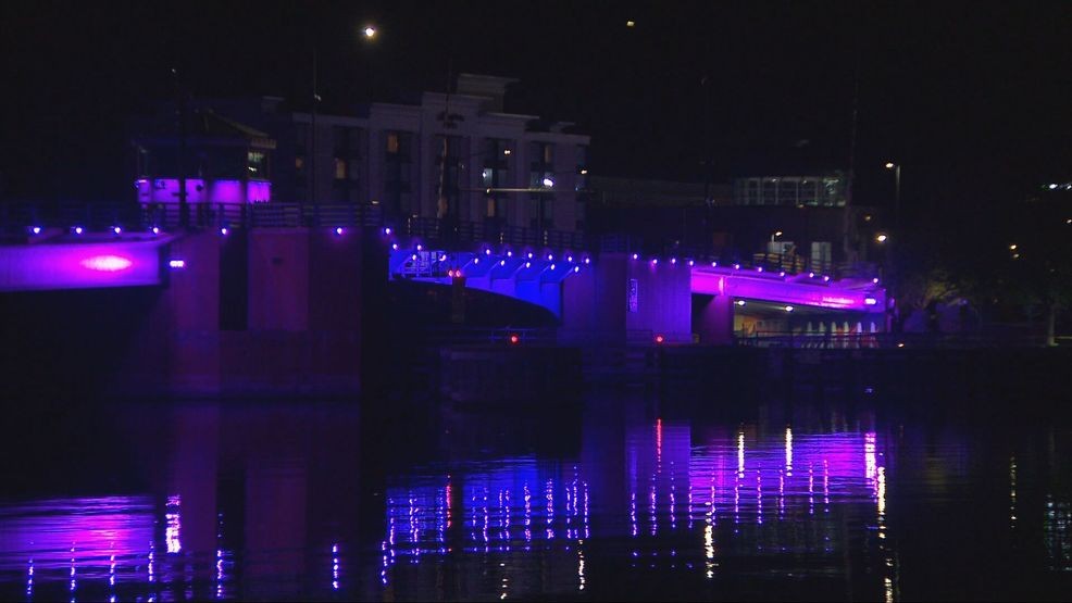 Purple Porch Project shines light on domestic violence support in Brown County — Fox 11 Green Bay Local, Wesley Chapel Community news