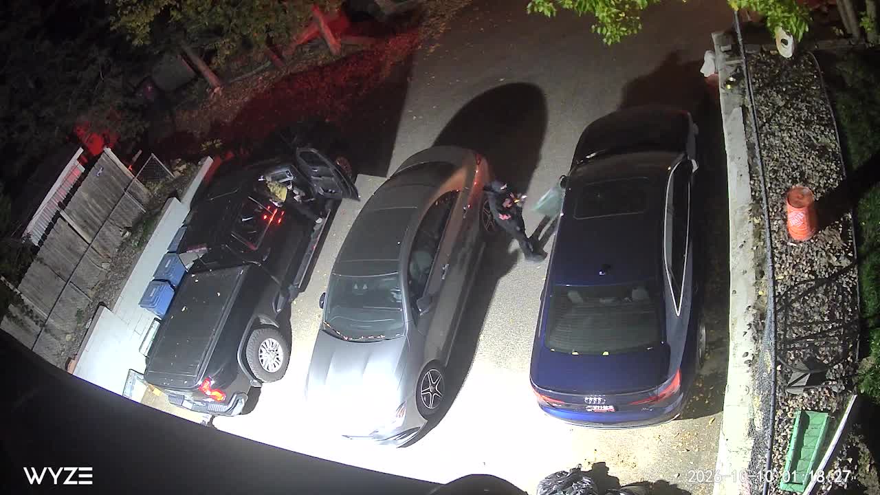 Juvenile window-smashing suspects caught on camera in south Minneapolis — KSTP 5, Wesley Chapel Real Estate news