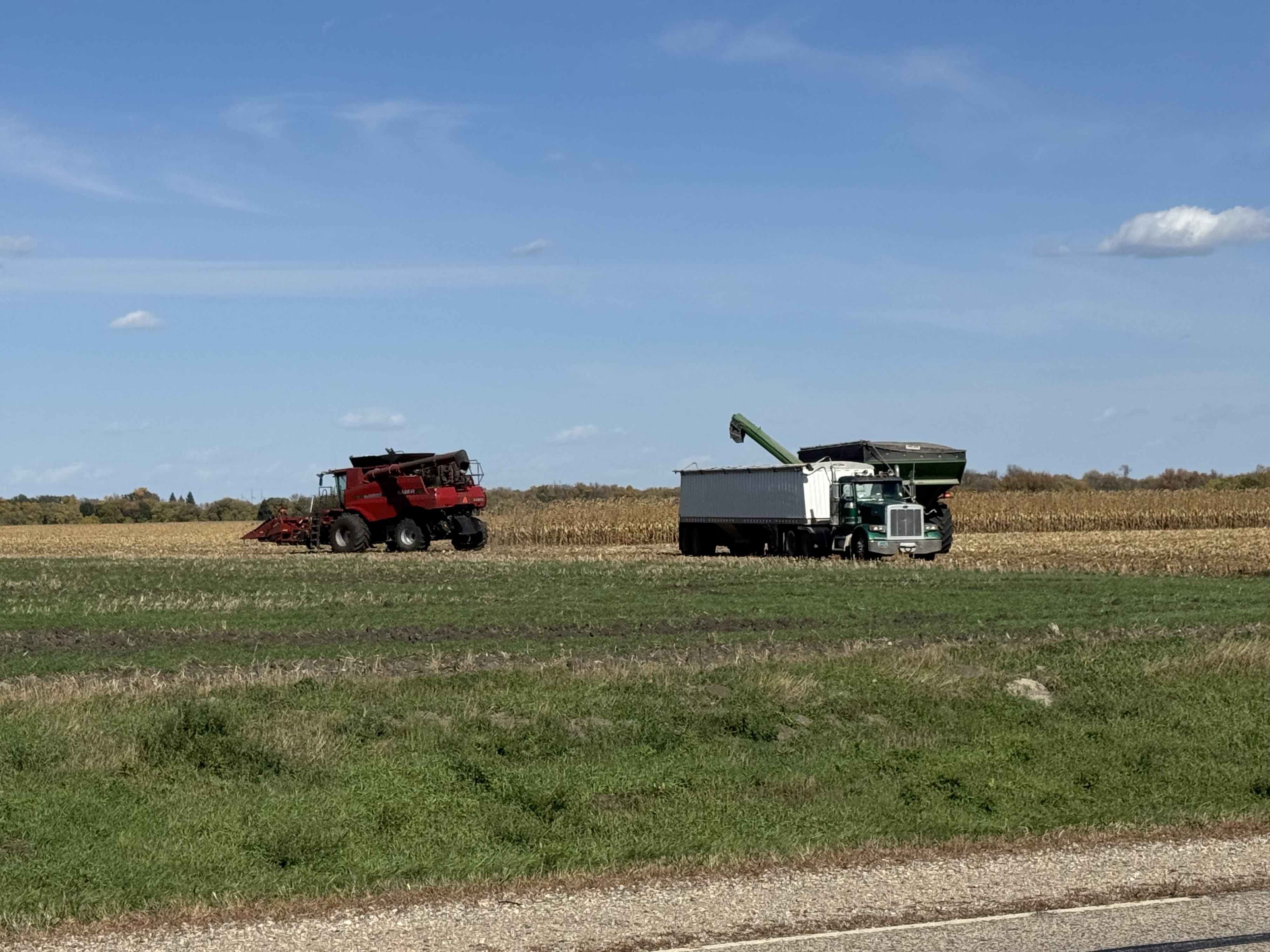 USDA announces record 2025 crop year safety net program payments — KFGO, Wesley Chapel Community news