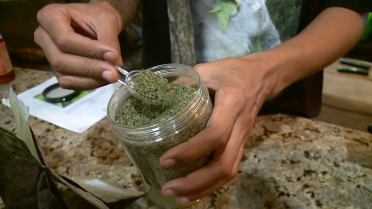 Hillsborough County considers restrictions on kratom products as families describe losing loved ones — WTSP 10 Tampa Bay
