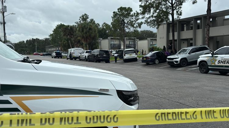 Hillsborough detectives investigating after child reports mother's death — WTSP 10 Tampa Bay, Wesley Chapel Community news