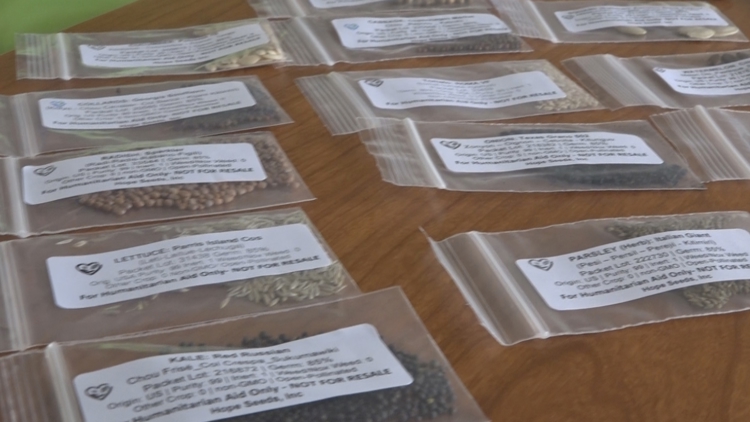 Bradenton nonprofit sends seeds to aid Jamaican families' recovery from Hurricane Melissa — Wesley Chapel Community news
