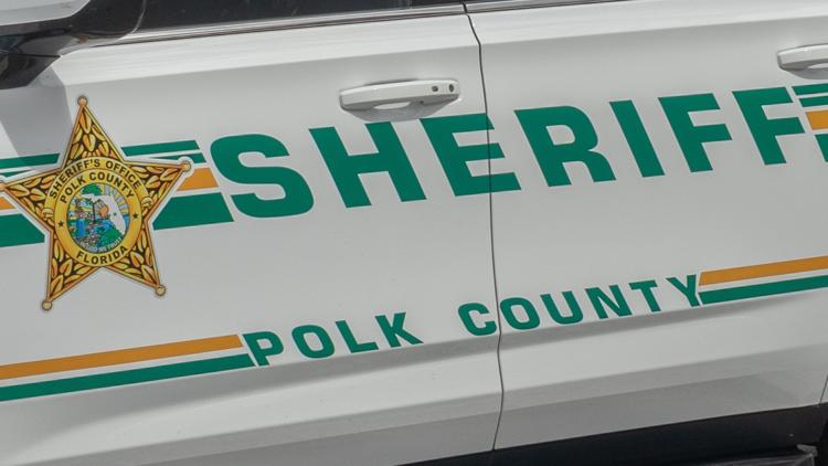 Disney employees, youth football coach and Navy sailor among 200+ arrested in Polk sex crime sting — Wesley Chapel Sports news