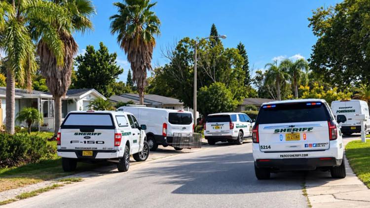 Woman hospitalized after being attacked by dog in Pasco County: deputies — WTSP 10 Tampa Bay, Wesley Chapel Health news