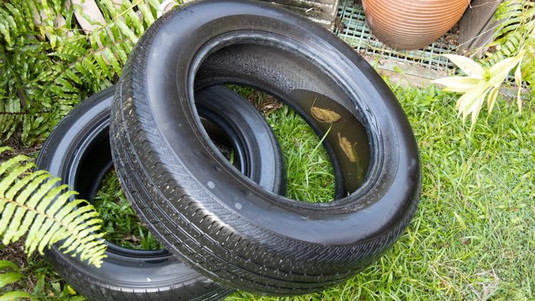 Hernando County waives tire disposal fees amid statewide dengue outbreak — Wesley Chapel Community news