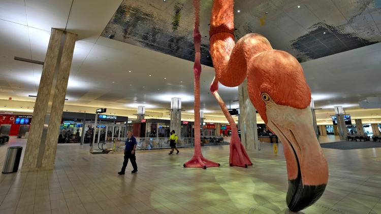 Tampa International Airport named "Best Large Airport" for the third straight year — WTSP 10 Tampa Bay, Wesley Chapel Dining news