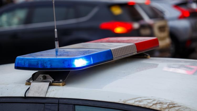 Pedestrian in wheelchair, trying to cross street, killed in traffic crash; Tampa police investigate — WTSP 10 Tampa Bay