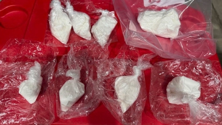 Deputies seize 11 ounces of cocaine, arrest Tampa man following months-long investigation, HCSO said — WTSP 10 Tampa Bay