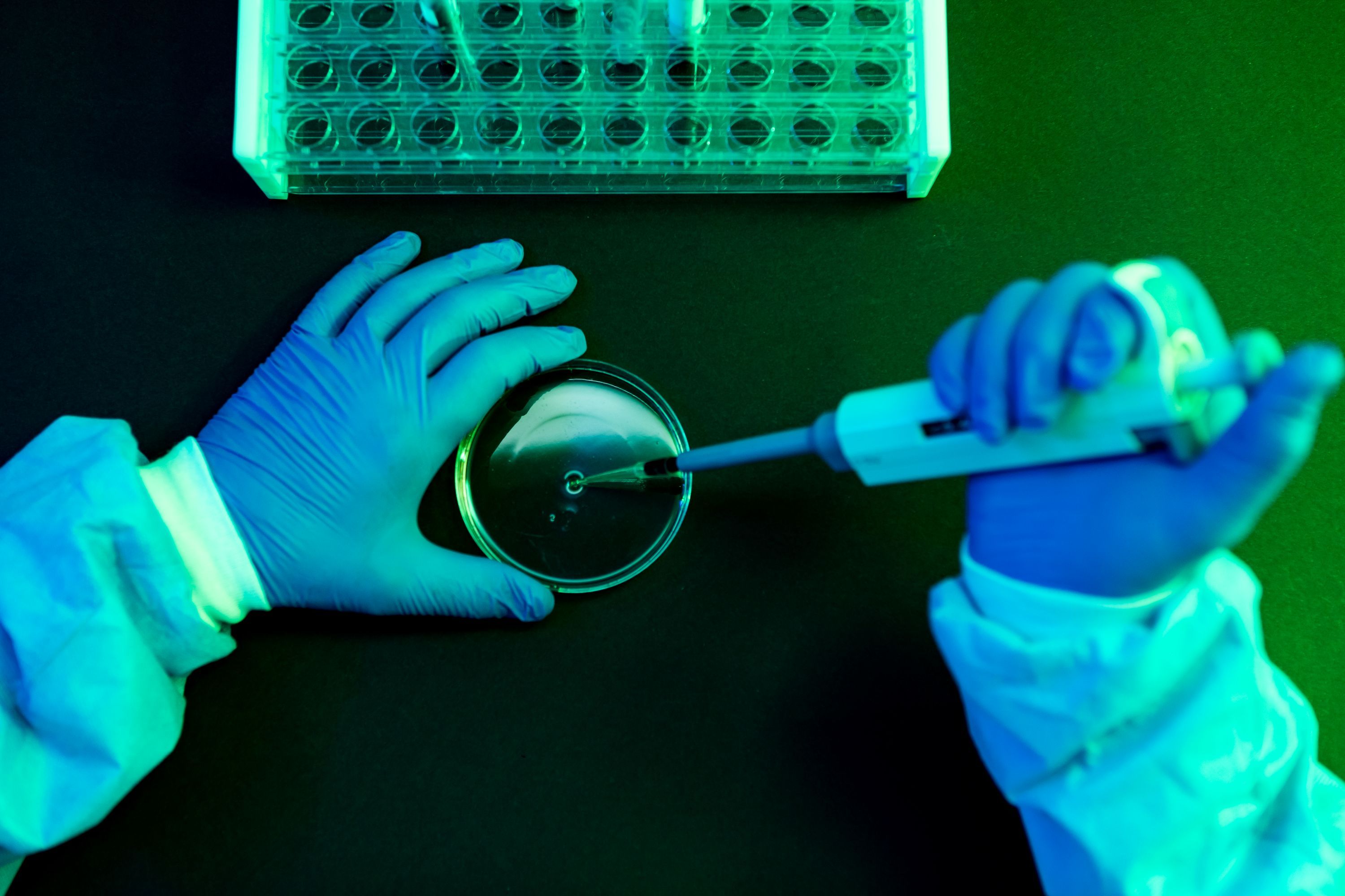 What to Know About Shamonda Virus Following the First Reported Human Infection — Wired, Wesley Chapel Technology news