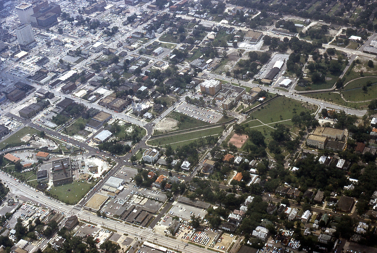THE JAXSON | The oak tree that remembers Black Bottom — Jacksonville Today, Wesley Chapel Schools news