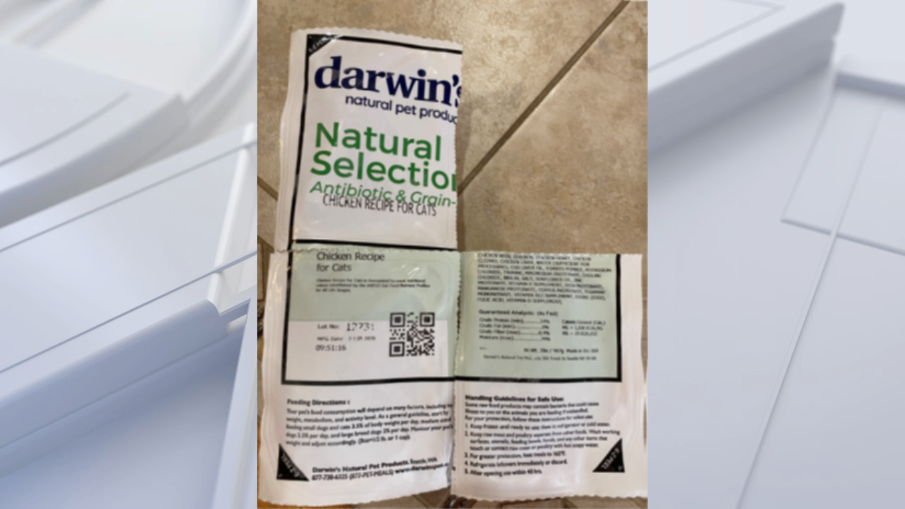 FDA warns pet owners after salmonella found in frozen cat food — Wesley Chapel Community news