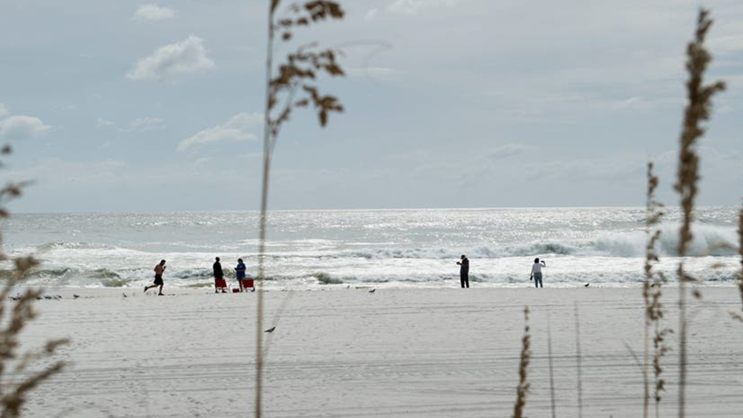 Father of 2 drowns after being caught in current trying to rescue seagull caught in fishing line — Wesley Chapel Community news